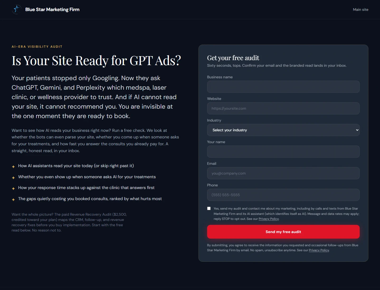 GPT Ads audit live site screenshot